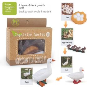 Children's Toy Animal Plant Growth Cycle (Option: PL127416)