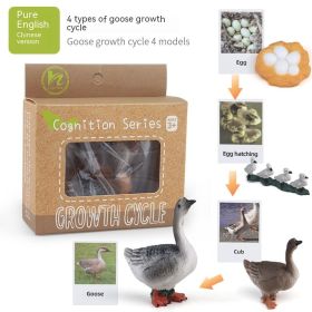 Children's Toy Animal Plant Growth Cycle (Option: PL1272417)