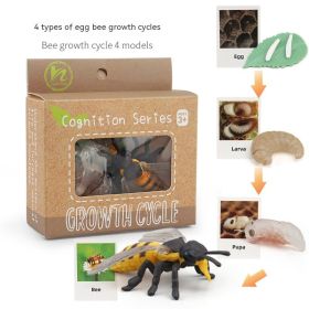 Children's Toy Animal Plant Growth Cycle (Option: PL1272402)
