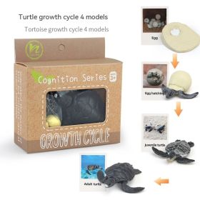Children's Toy Animal Plant Growth Cycle (Option: PL1272420)