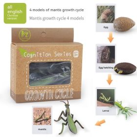Children's Toy Animal Plant Growth Cycle (Option: PL1272449)