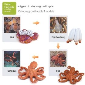 Children's Toy Animal Plant Growth Cycle (Option: PL1272448)