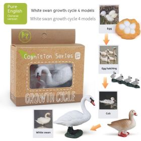 Children's Toy Animal Plant Growth Cycle (Option: PL1272418)