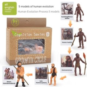 Children's Toy Animal Plant Growth Cycle (Option: PL1272455)