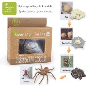 Children's Toy Animal Plant Growth Cycle (Option: PL1272425)