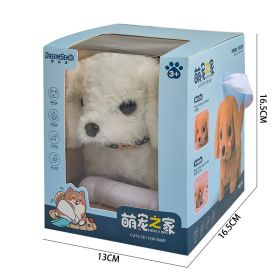 Children's Electric Simulation Plush Pet Teddy (Option: Bichon Frise Medium Box)