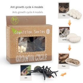 Children's Toy Animal Plant Growth Cycle (Option: PL1272404)